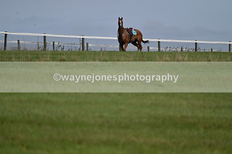 WJ7_7511 - Time 13:21 to 13:29