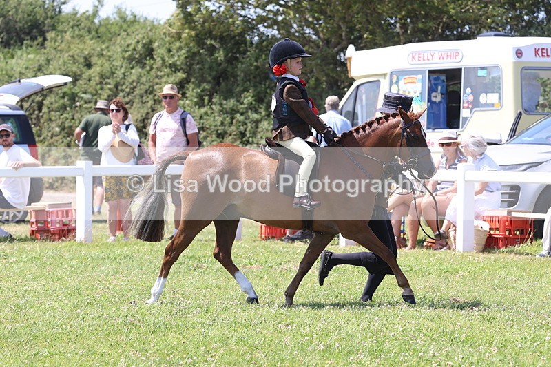 JPP_2391 - Class 20: Tiny Tots Working Hunter Pony