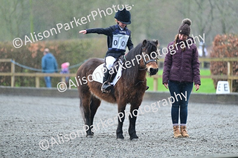 20260125-0877 - Class 9a - Walk Trot Assisted