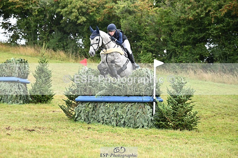 TS_b2652928 - SAT BE 90 Recovered Files fence 8