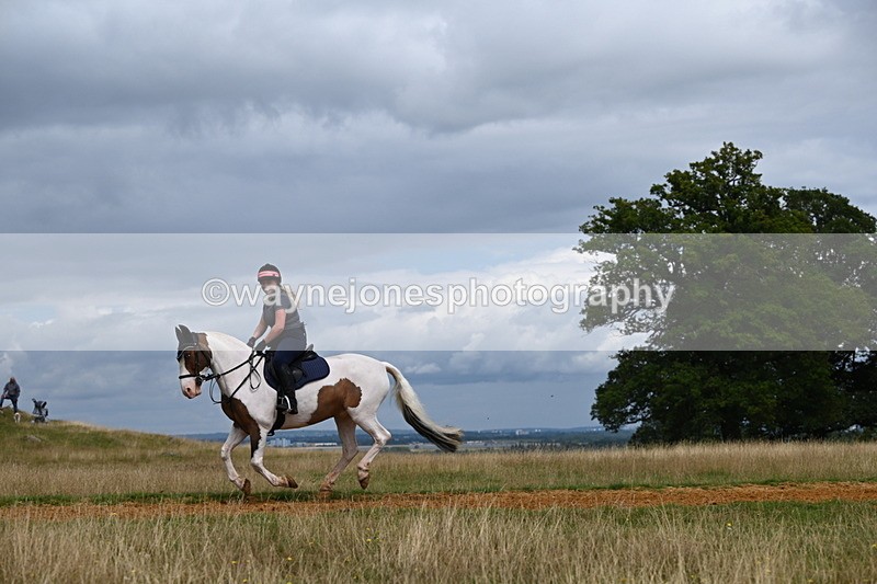 DSC_7926 - Time at Statue 13:16 to 13:52