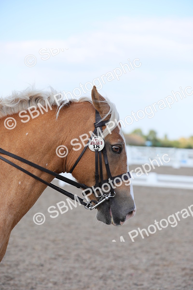 SBM_07711 - Class 33 Elementary 1