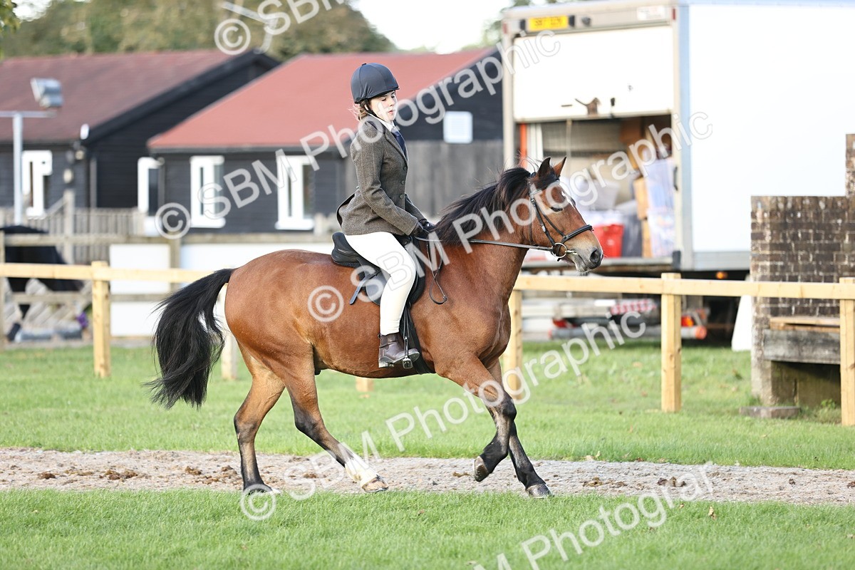 SBM_29566 - S7 - Novice & Newcomers Ridden Pony