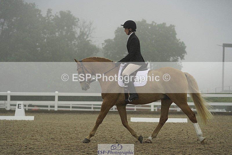 230708A-150012-03956 - Prelim 18