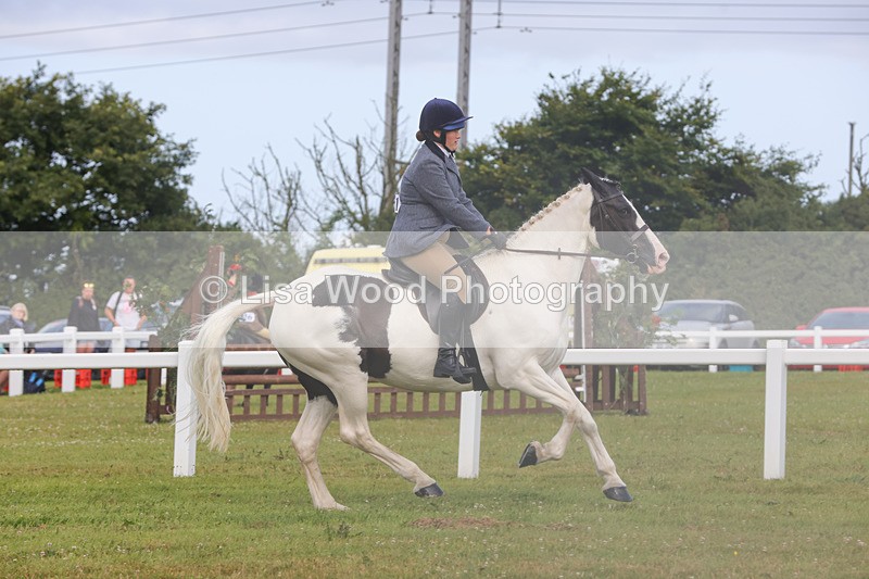 1X9A3071 - Class 26: Ridden Plaited Coloured Pony