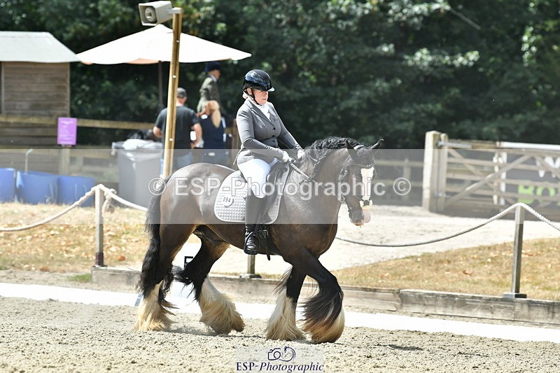260801A-121611-03872 - Prelim SIlver Break - End