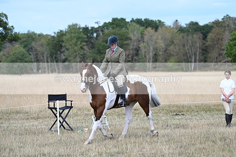 WJ7_7167 - Class 14 Ridden Coloured