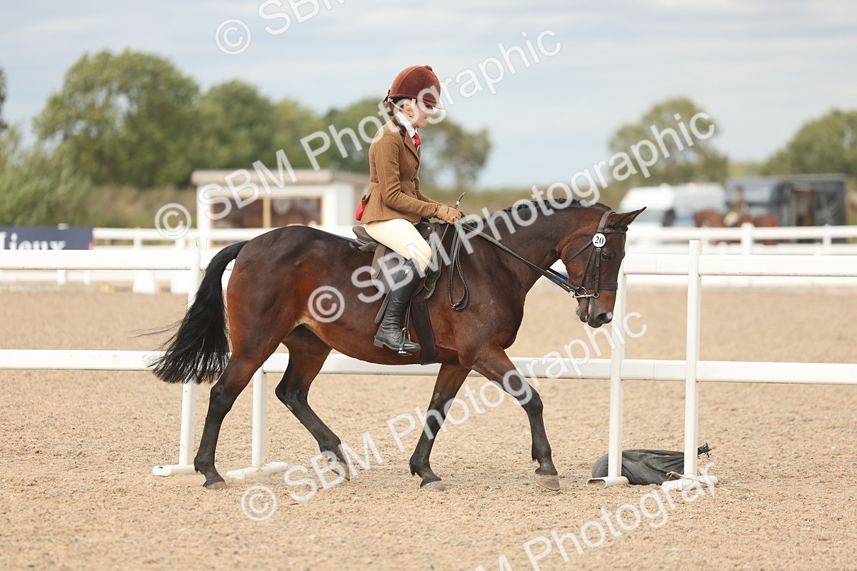 SBM_17974 - Class 314 - Family Horse Pony