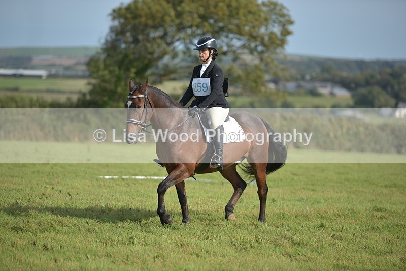 RAY_7716 - Class 2B: Trekenning Open: Dressage