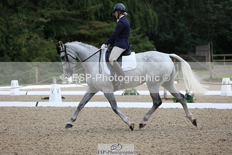 230812-093021-02947 - Cls 5 Novice Bronze Start to 10.55 break