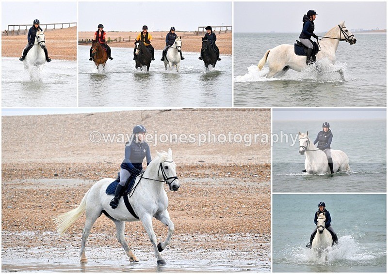 Collages10 - Beach Shoot examples