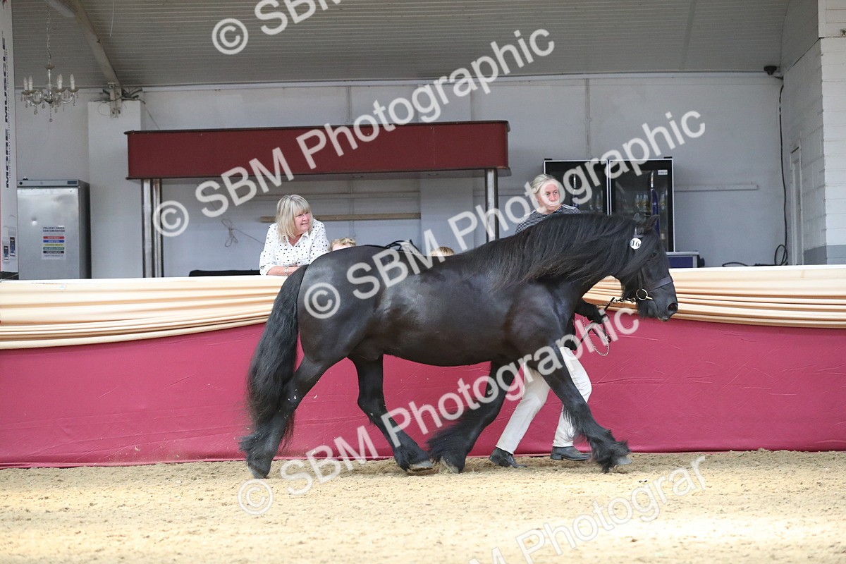 SBM_15291 - Class 501 M&M IH Supreme Final