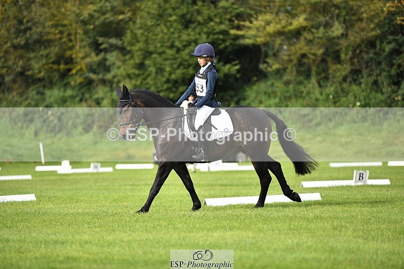 230826-091943-15083 - Sections C & D 9 to 10am