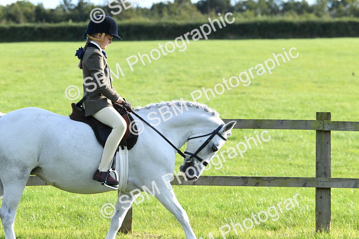 SBM_52359 - S22 - 1st Ridden Show & Show Hunter Pony