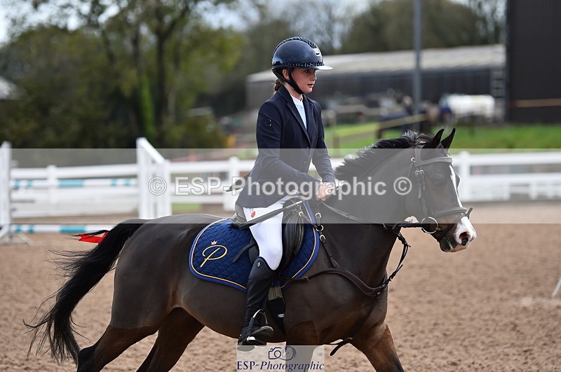 231029A-103438-02330 - 70cm Pony Intro