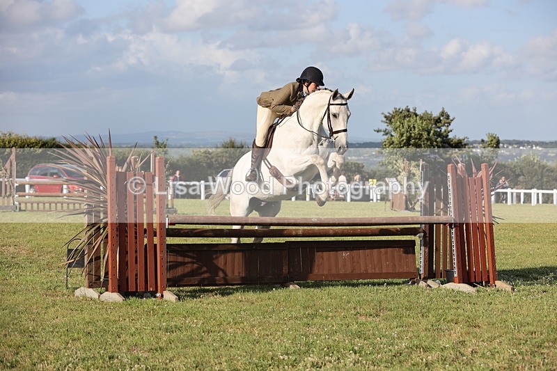 JPP_3471 - Class 22: Working Hunter 90cm