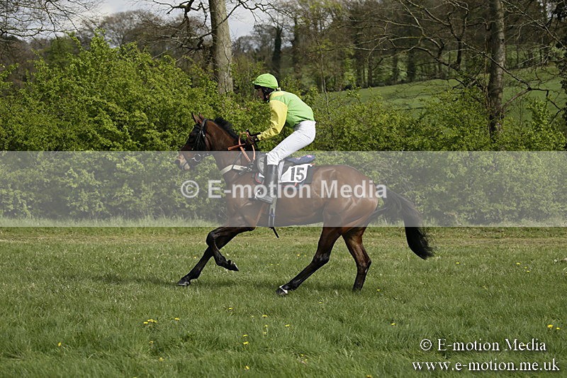 PtP 170417 253 - Old Berks Point-to-Point Lockinge 17/04/17