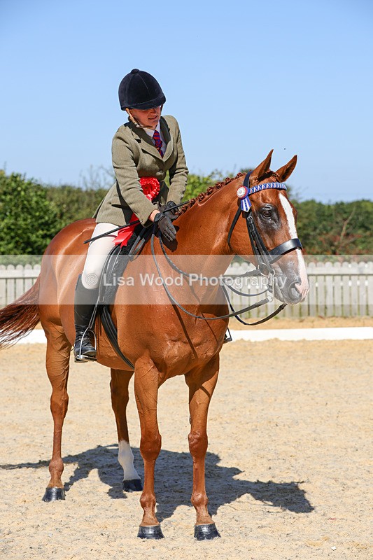 1X9A7942 - Class 10:Riding Horse