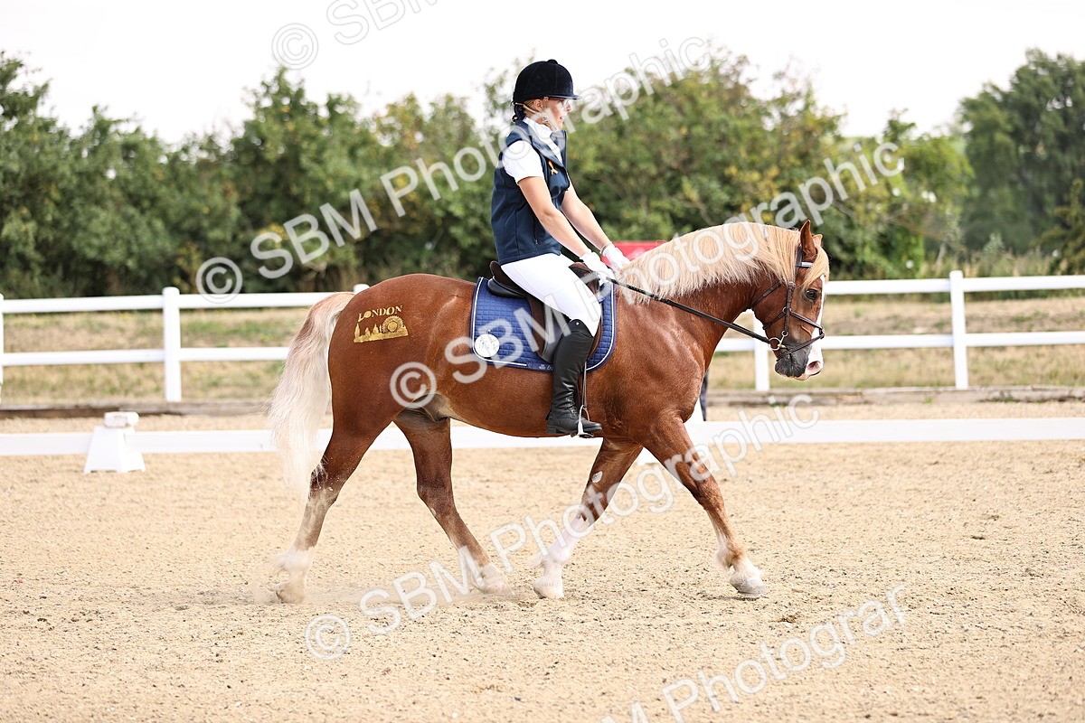 SBM_006569 - Intro 3 - 9.46-10.46