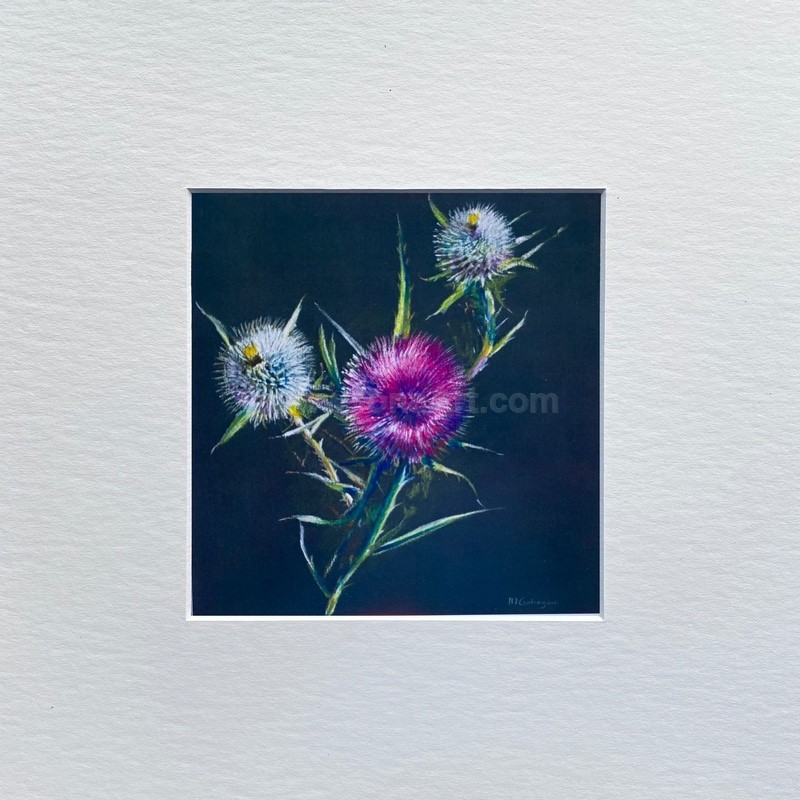 Thistle Trinity - Nature