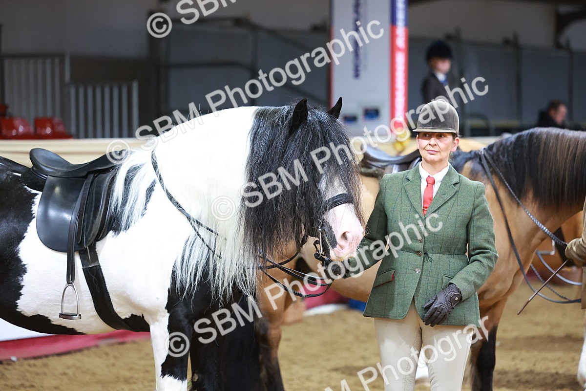 SBM_09558 - Class 102 - HOYS Veteran Qualifier - Ridden Veteran