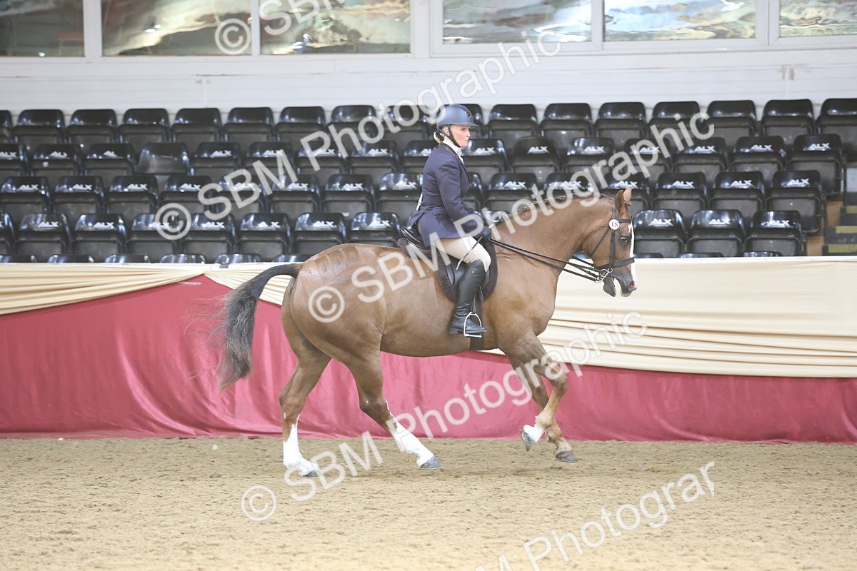 SBM_23794 - class 906 - Supreme Final - Ridden Pre Vet