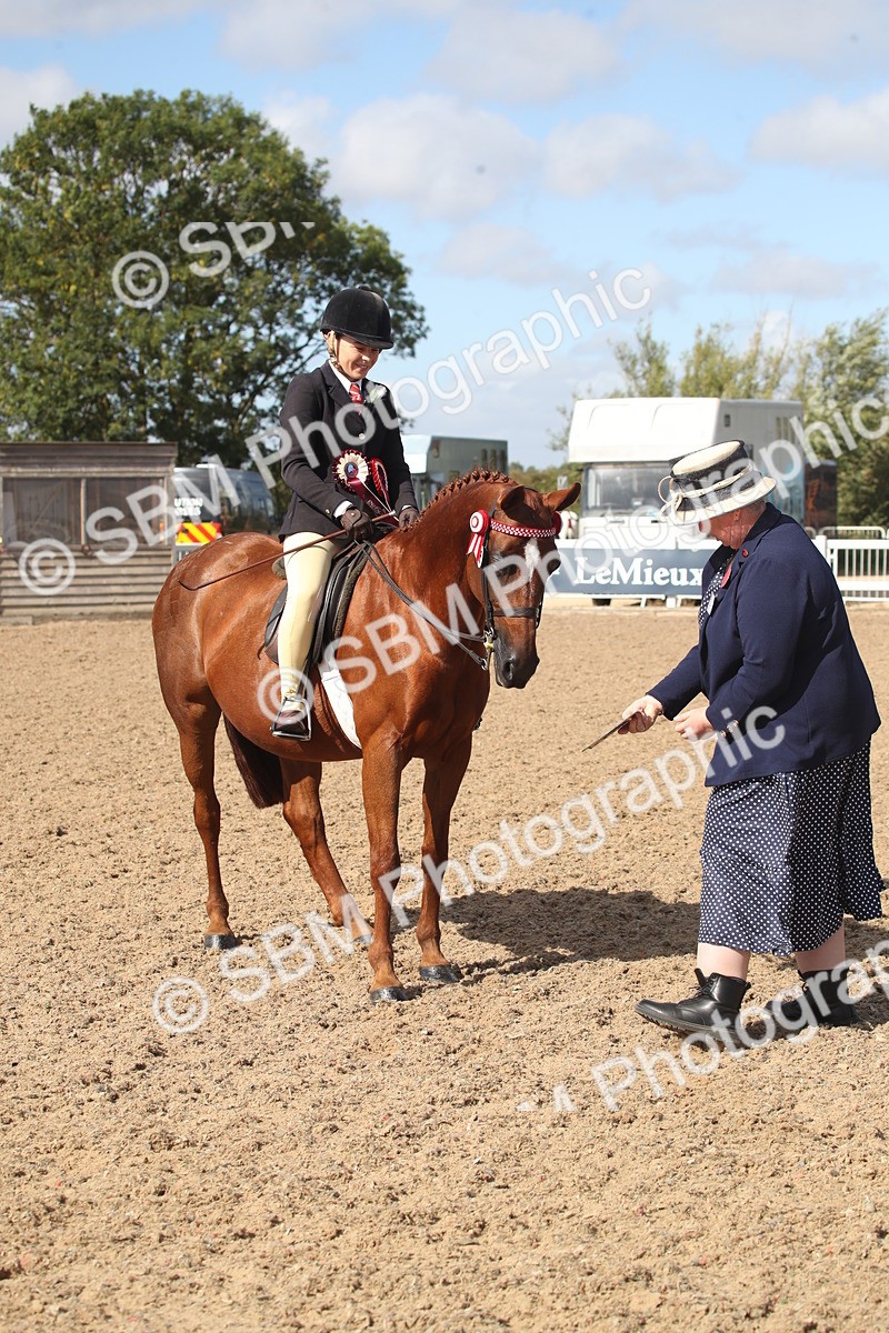 SBM_22979 - Class 603 - 2026 - Ridden Pre Vet