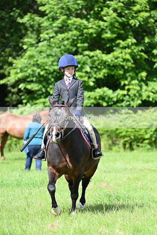 WJ7_1055 - Class 11 Condition & Turnout