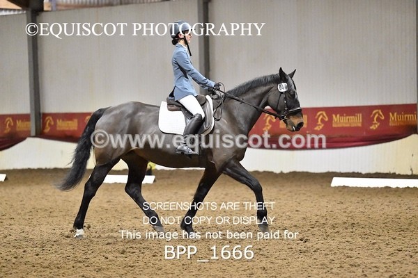 BPP_1666 - PC GRASSROOTS DRESSAGE
