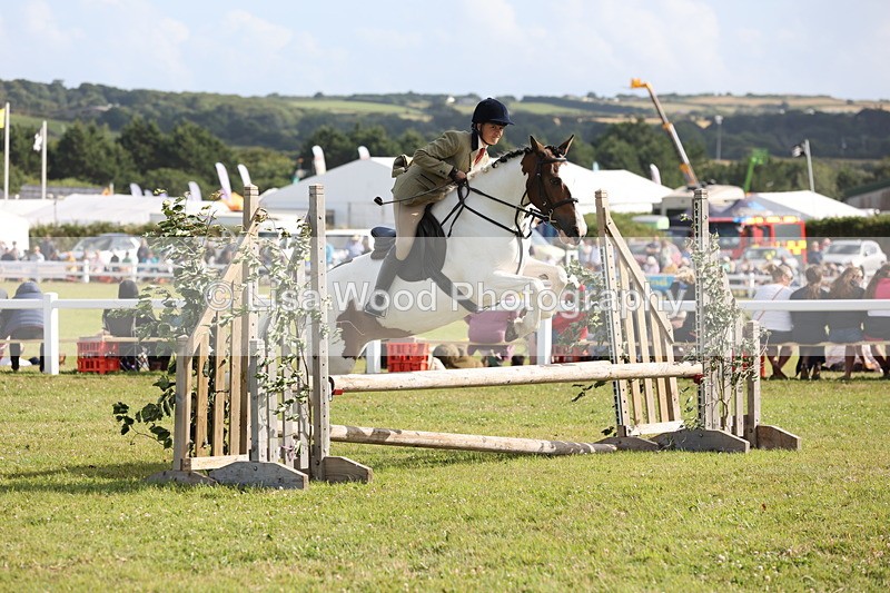 JPP_2801 - Class 20: Working Hunter 70cm