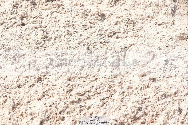 250815-154132-02073 - 3.30pm Presentations