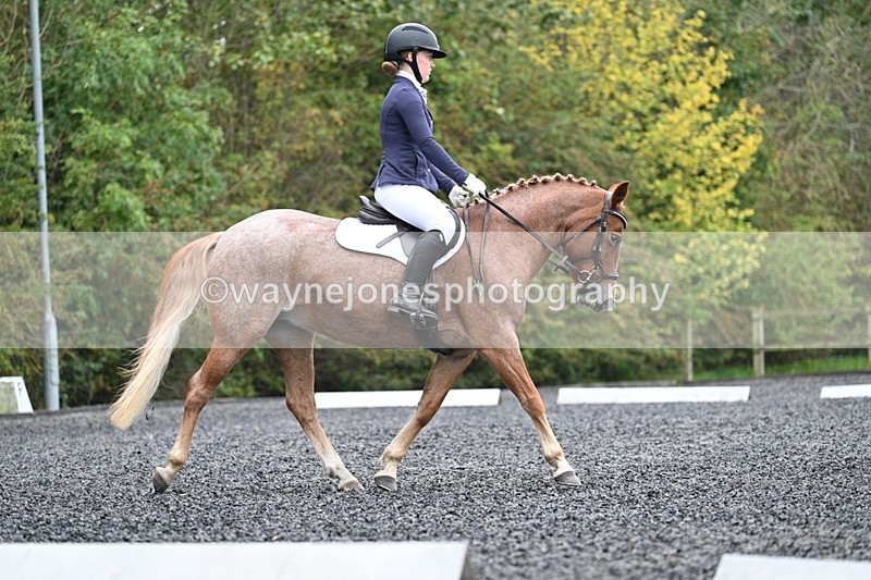 WJ7_3682 - Time 11:04 to 11:38