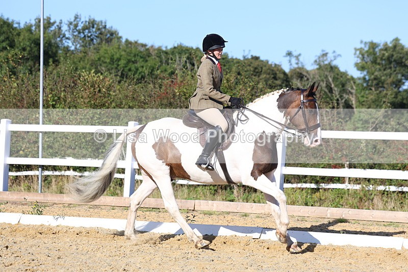 3E7A5296 - Class 8: Small Ridden Hunter