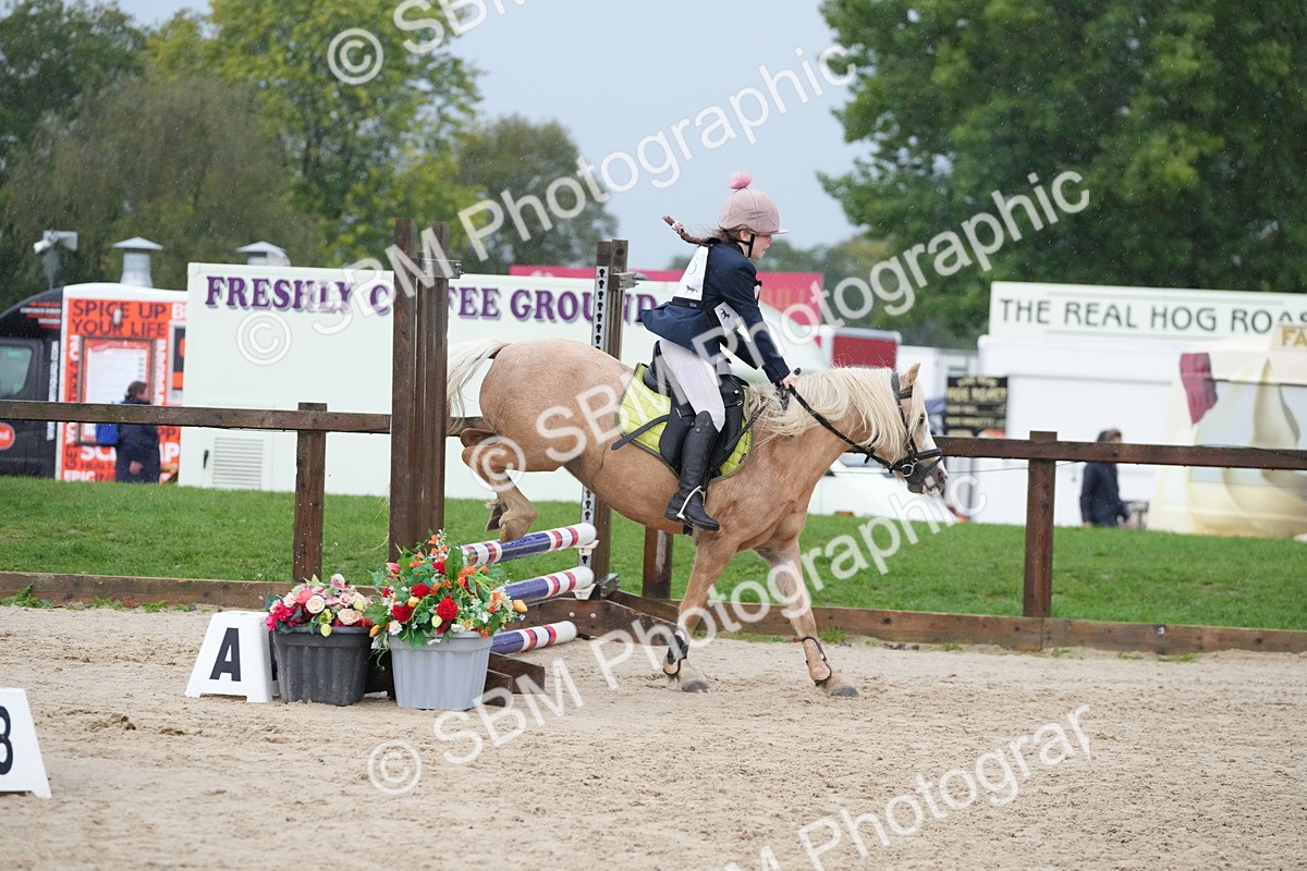 SBM_33877 - J5 - Junior Pony 50cm Championship
