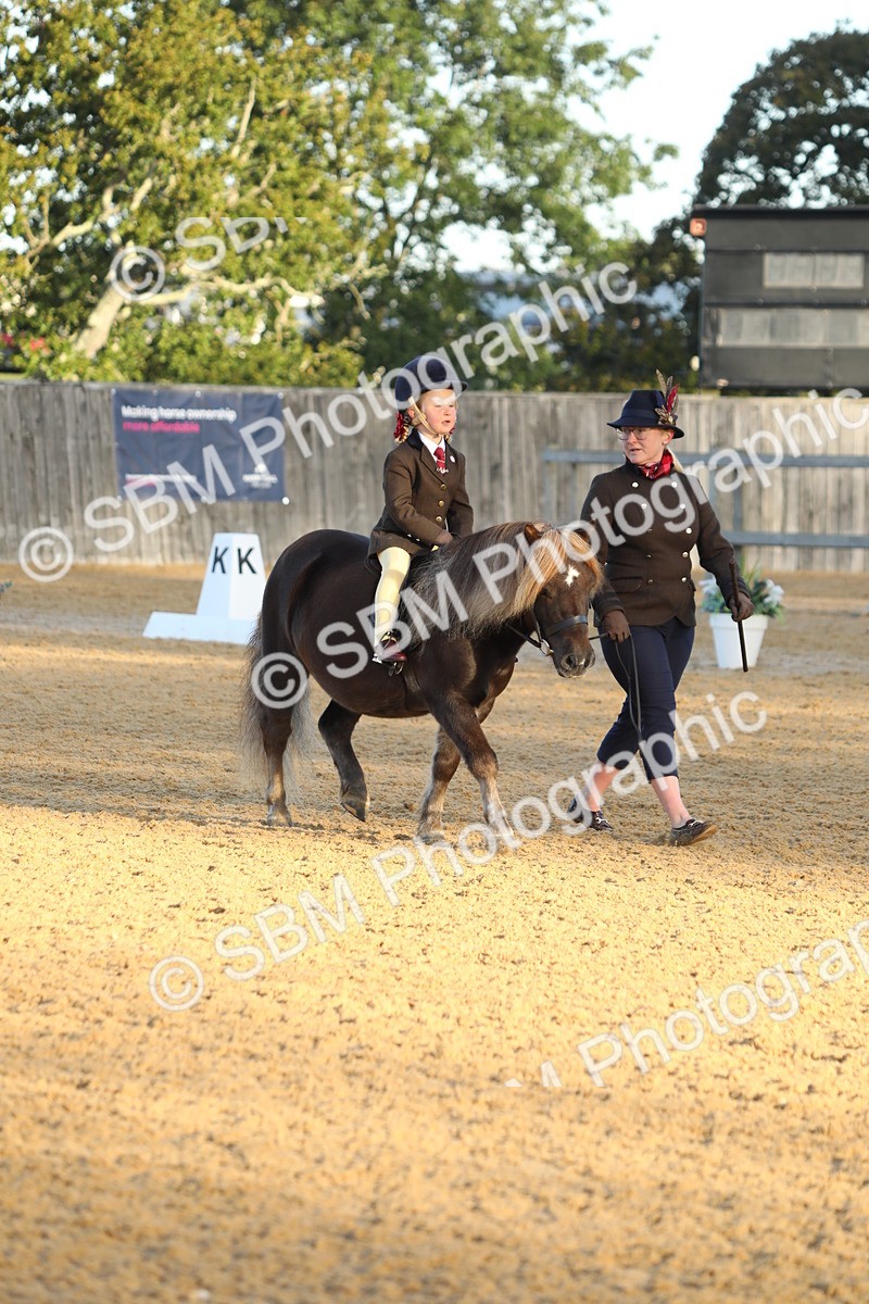 SBM_33548 - D26 - Starers - Lead Rein