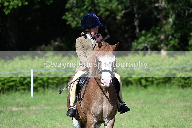WJ7_0509 - Class 8 First Rally Pony