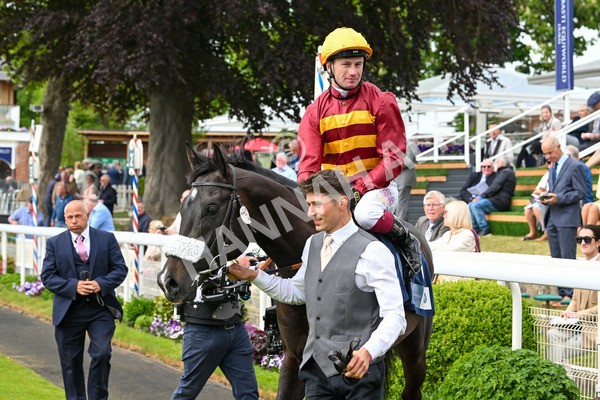 150525-Tropical Storm-4981 - Race 5 4.18pm British Stallion Studs EBF Westow Stakes