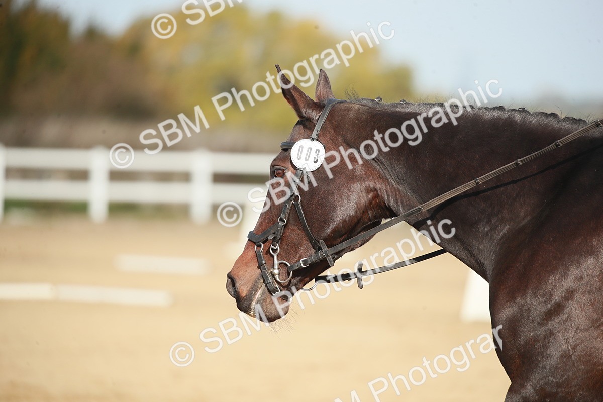 SBM_000481 - Class 3-4-11-12 - MQ Open-U21 Intro 2 N2