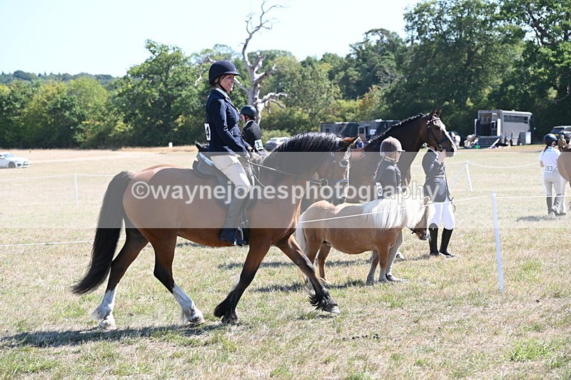 WJ6_8239 - Class 37a Best Loan Pony Ridden