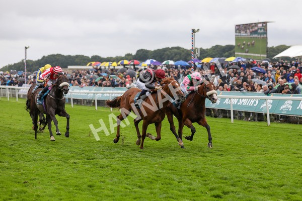 130724-Race 5-East Tyrone-2124 - Race 5 4.15pm John Smith's Nursery Handicap