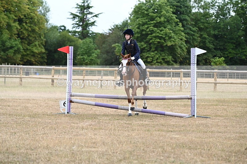 WJ6_0327 - Class 13 Novice Jumping 60cm