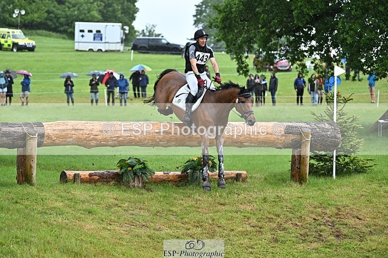 240526-134418-23045 - 443-FIGARO_DES_PREMICES-Alexander_Peternell