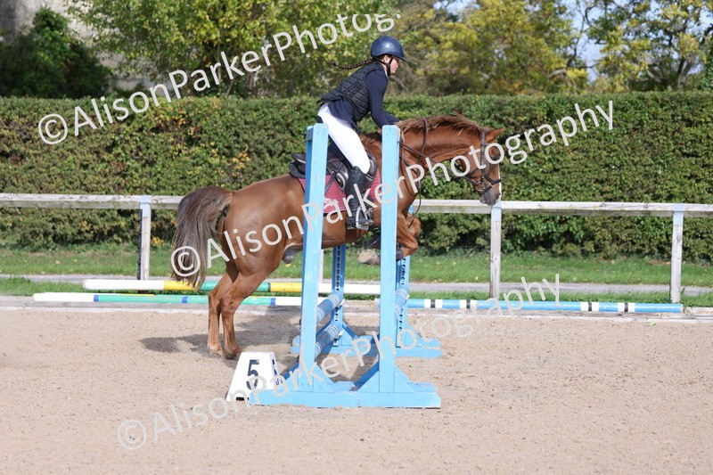 20251005-0418 - Class 3 - 60cm