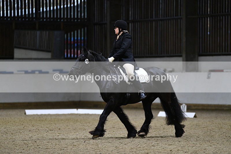 WJ5_8533 - Class 5 Novice Test 3