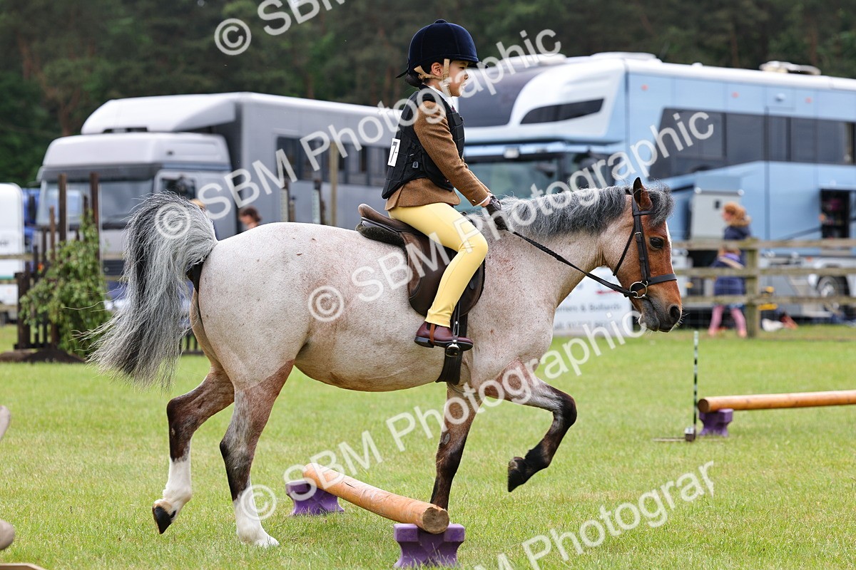 SBM_08600 - Class 42-43 - LIHS BSPS Heritage Working Sports Pony