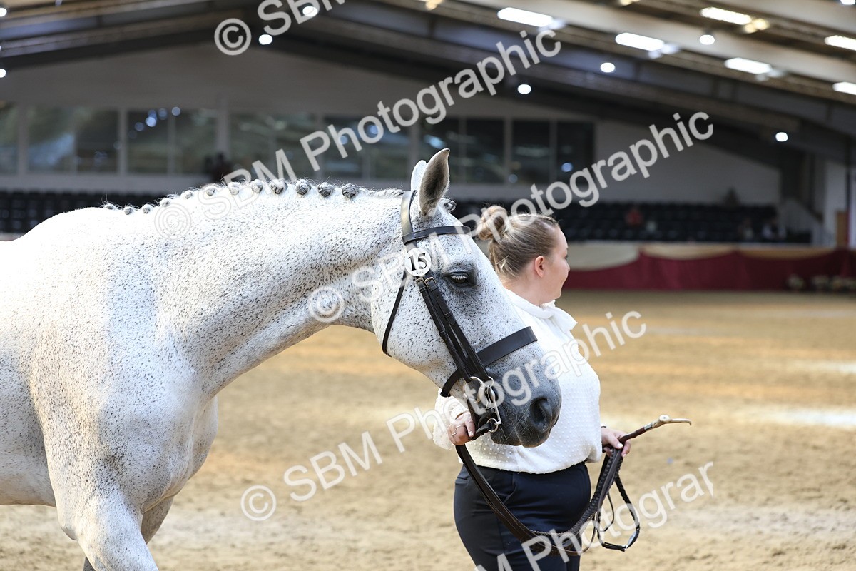 SBM_23373 - Class 903 - Supreme Final - IH Pre Vet