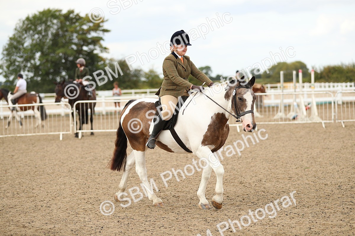 SBM_05234 - Class 47b Style & Performance 60cm (20+)