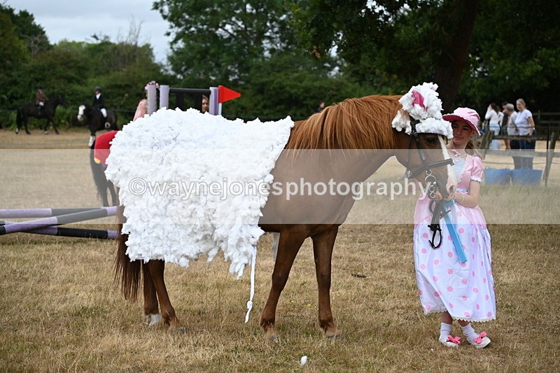 WJ6_8775 - Class 11 Fancy Dress