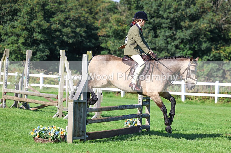 3E7A7743 - Class 2: Open Working Hunter pony