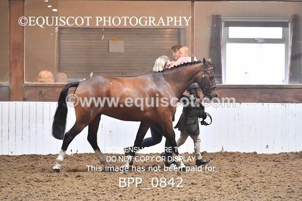BPP_0842 - RING 1